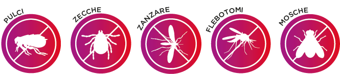 parasites : puces, tiques, moustiques, mouches et phlébotomes
