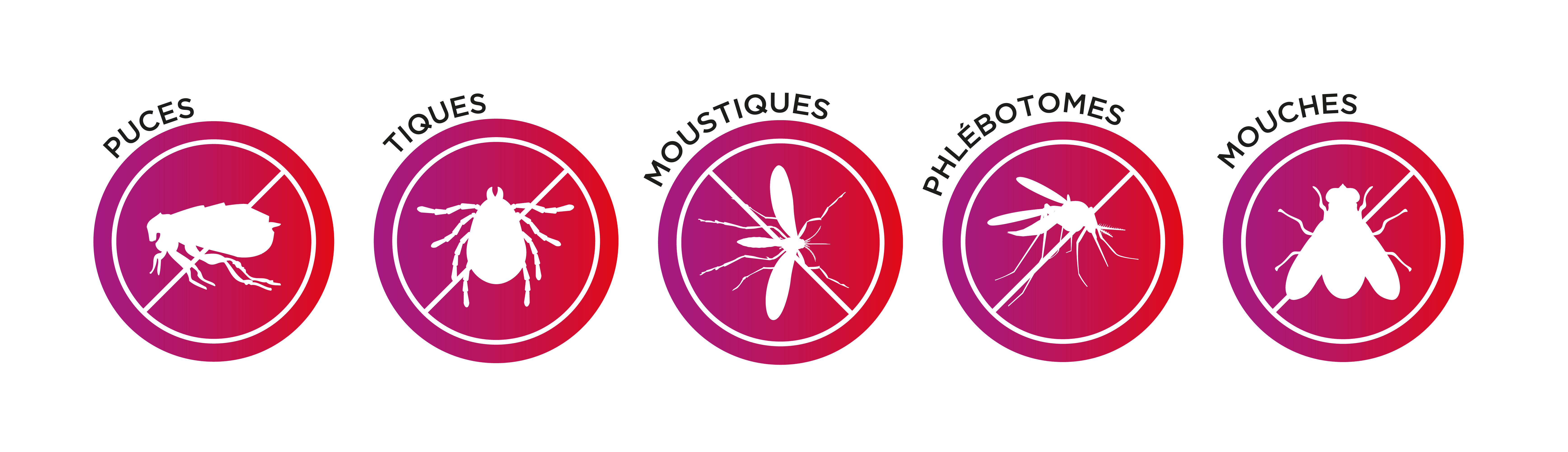 parasites : puces, tiques, moustiques, mouches et phlébotomes